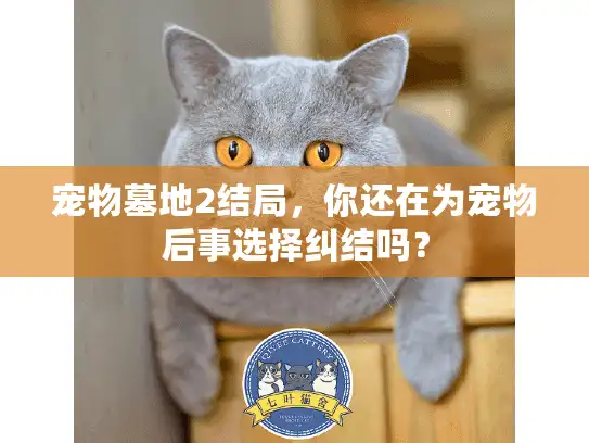 宠物墓地2结局，你还在为宠物后事选择纠结吗？