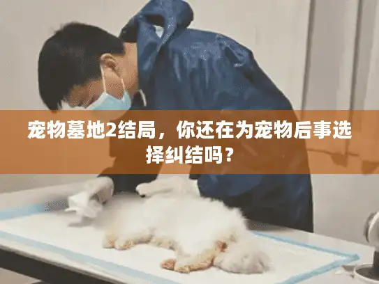 宠物墓地2结局，你还在为宠物后事选择纠结吗？