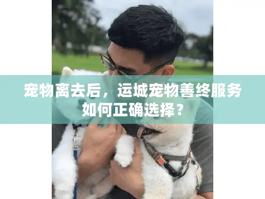 宠物离去后,运城宠物善终服务如何正确选择? 宠物离去后,运城宠物善终服务如何正确选择?
