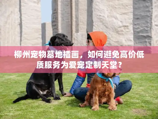 柳州宠物墓地插画，如何避免高价低质服务为爱宠定制天堂？