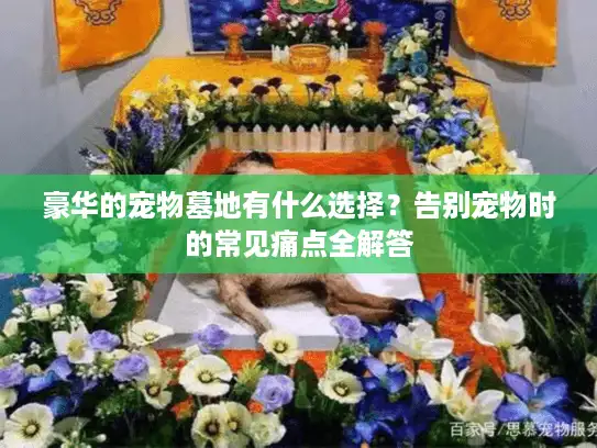 豪华的宠物墓地有什么选择?告别宠物时的常见痛点全解答 豪华的宠物墓地有什么选择?告别宠物时的常见痛点全解答
