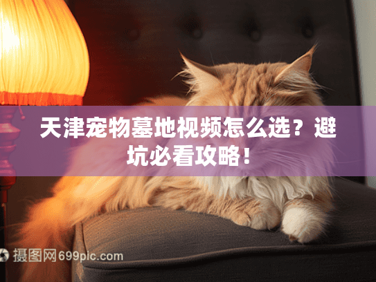 天津宠物墓地视频怎么选?避坑必看攻略! 天津宠物墓地视频怎么选?避坑必看攻略!