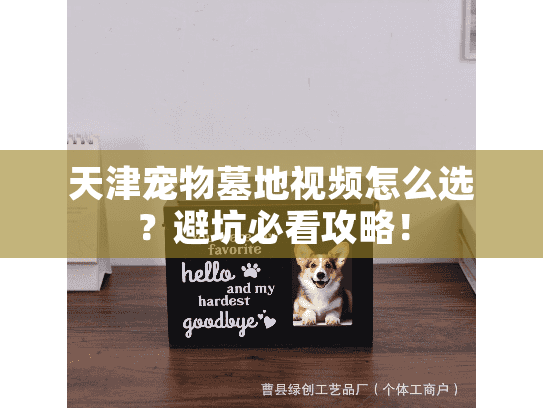 天津宠物墓地视频怎么选?避坑必看攻略! 天津宠物墓地视频怎么选?避坑必看攻略!