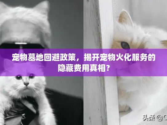 宠物墓地回避政策,揭开宠物火化服务的隐藏费用真相? 宠物墓地回避政策,揭开宠物火化服务的隐藏费用真相?