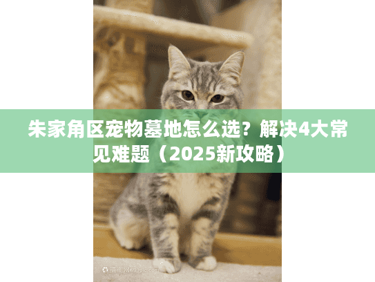 朱家角区宠物墓地怎么选？解决4大常见难题（2025新攻略）