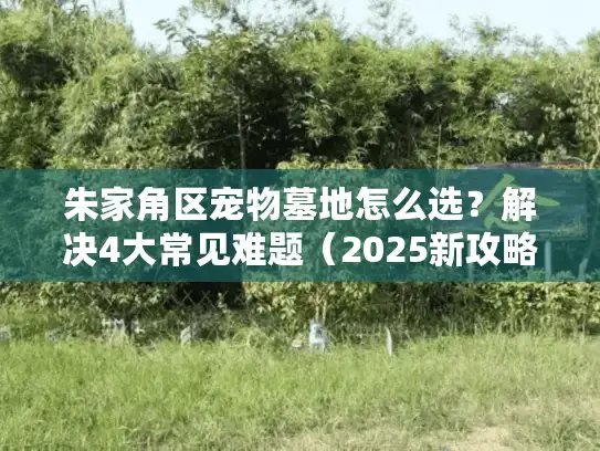朱家角区宠物墓地怎么选？解决4大常见难题（2025新攻略）