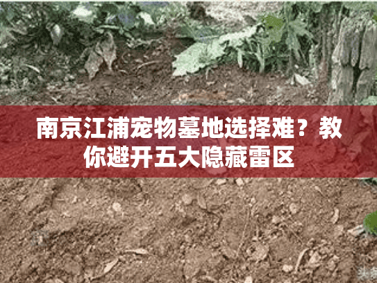 南京江浦宠物墓地选择难？教你避开五大隐藏雷区