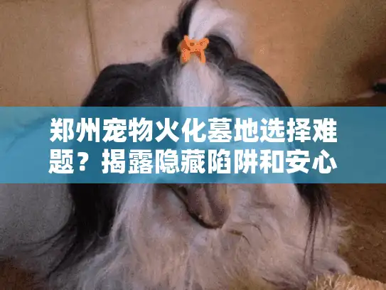 郑州宠物火化墓地选择难题?揭露隐藏陷阱和安心方案 郑州宠物火化墓地选择难题?揭露隐藏陷阱和安心方案