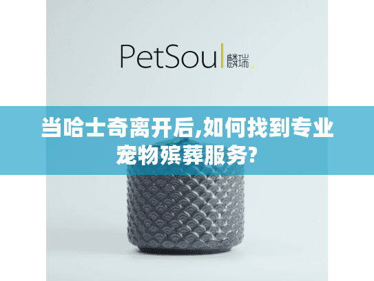 当哈士奇离开后,如何找到专业宠物殡葬服务?
