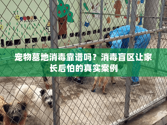 宠物墓地消毒靠谱吗?消毒盲区让家长后怕的真实案例 宠物墓地消毒靠谱吗?消毒盲区让家长后怕的真实案例