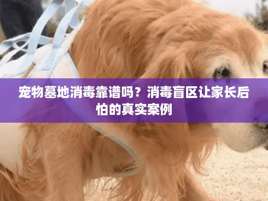 宠物墓地消毒靠谱吗?消毒盲区让家长后怕的真实案例 宠物墓地消毒靠谱吗?消毒盲区让家长后怕的真实案例