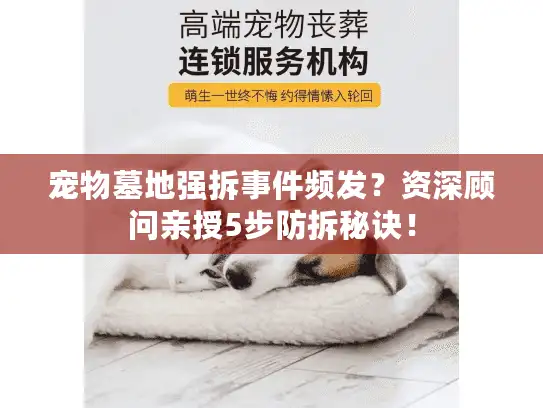 宠物墓地强拆事件频发？资深顾问亲授5步防拆秘诀！