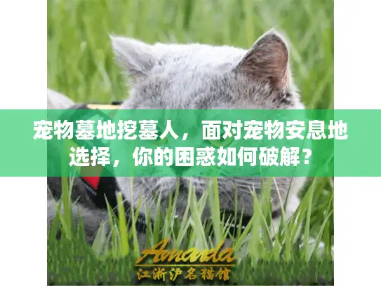 宠物墓地挖墓人，面对宠物安息地选择，你的困惑如何破解？