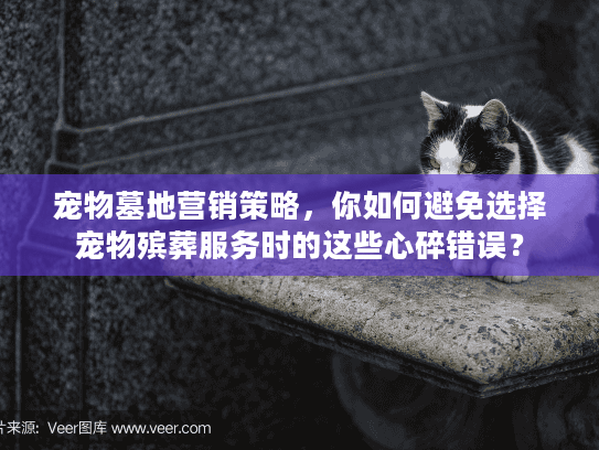 宠物墓地营销策略,你如何避免选择宠物殡葬服务时的这些心碎错误? 宠物墓地营销策略,你如何避免选择宠物殡葬服务时的这些心碎错误?