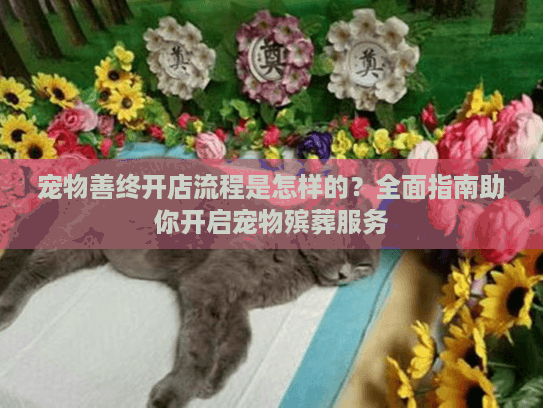宠物善终开店流程是怎样的？全面指南助你开启宠物殡葬服务