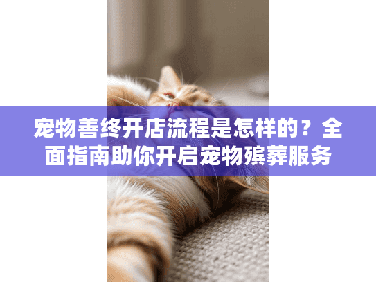 宠物善终开店流程是怎样的？全面指南助你开启宠物殡葬服务