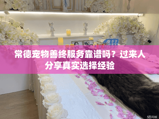 常德宠物善终服务靠谱吗？过来人分享真实选择经验