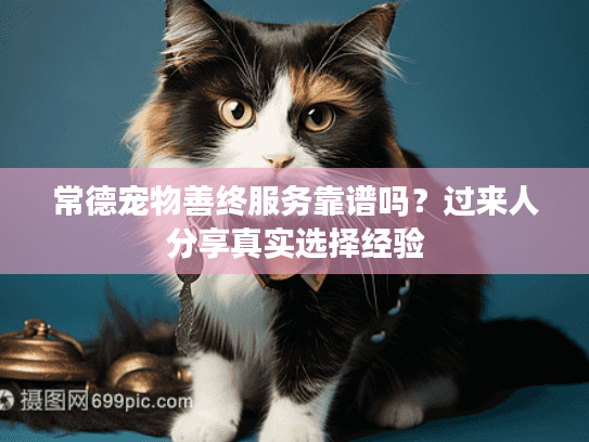 常德宠物善终服务靠谱吗？过来人分享真实选择经验