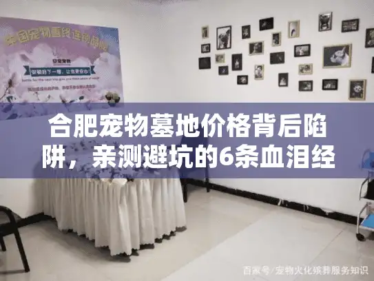 合肥宠物墓地价格背后陷阱,亲测避坑的6条血泪经验 合肥宠物墓地价格背后陷阱,亲测避坑的6条血泪经验