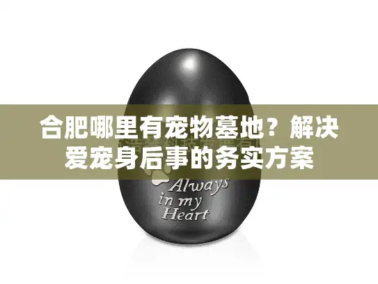 合肥哪里有宠物墓地？解决爱宠身后事的务实方案