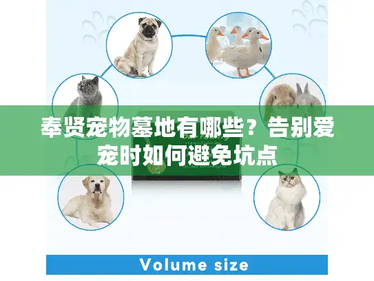 奉贤宠物墓地有哪些?告别爱宠时如何避免坑点 奉贤宠物墓地有哪些?告别爱宠时如何避免坑点