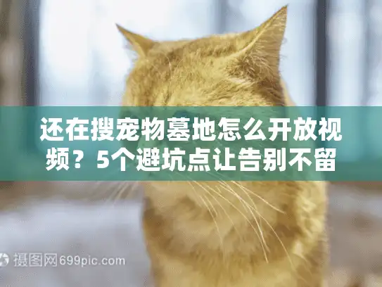 还在搜宠物墓地怎么开放视频？5个避坑点让告别不留遗憾