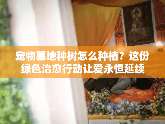 宠物墓地种树怎么种植？这份绿色治愈行动让爱永恒延续