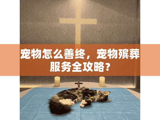 宠物怎么善终，宠物殡葬服务全攻略？