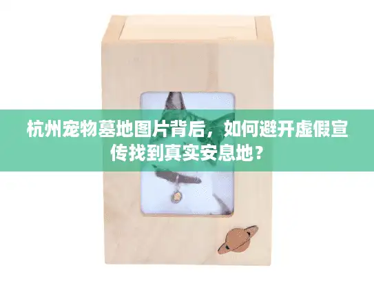 杭州宠物墓地图片背后,如何避开虚假宣传找到真实安息地? 杭州宠物墓地图片背后,如何避开虚假宣传找到真实安息地?