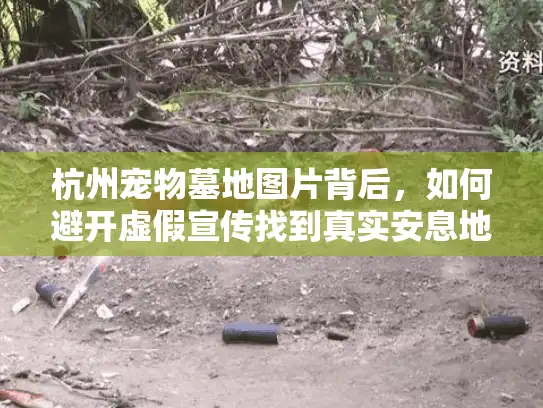 杭州宠物墓地图片背后,如何避开虚假宣传找到真实安息地? 杭州宠物墓地图片背后,如何避开虚假宣传找到真实安息地?