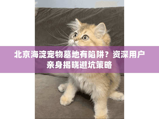 北京海淀宠物墓地有陷阱？资深用户亲身揭晓避坑策略