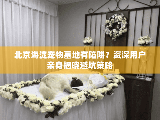 北京海淀宠物墓地有陷阱？资深用户亲身揭晓避坑策略