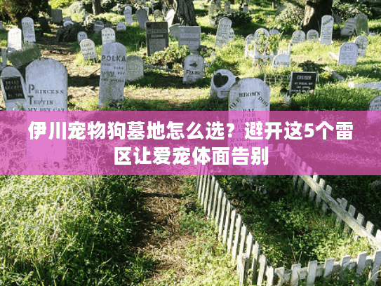 伊川宠物狗墓地怎么选？避开这5个雷区让爱宠体面告别