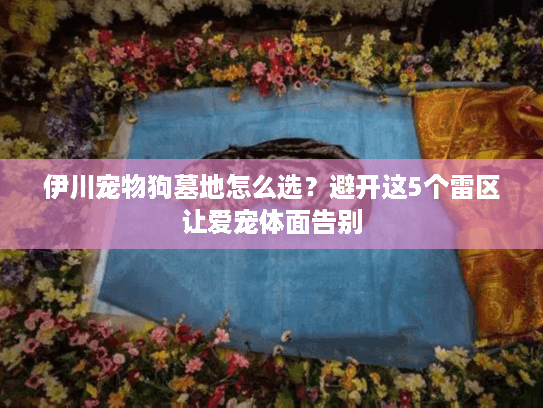 伊川宠物狗墓地怎么选？避开这5个雷区让爱宠体面告别