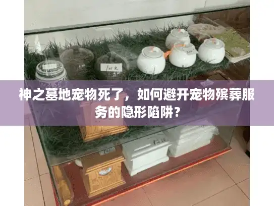神之墓地宠物死了，如何避开宠物殡葬服务的隐形陷阱？