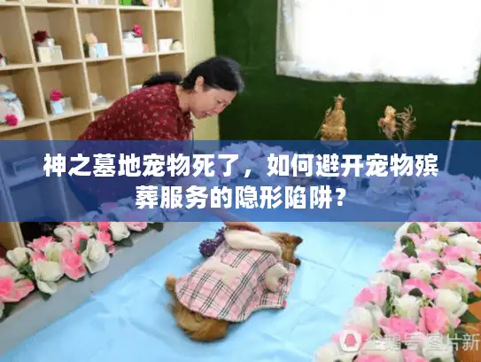 神之墓地宠物死了，如何避开宠物殡葬服务的隐形陷阱？