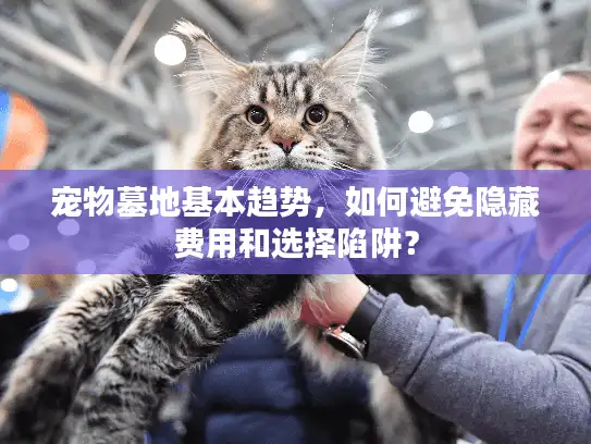 宠物墓地基本趋势，如何避免隐藏费用和选择陷阱？