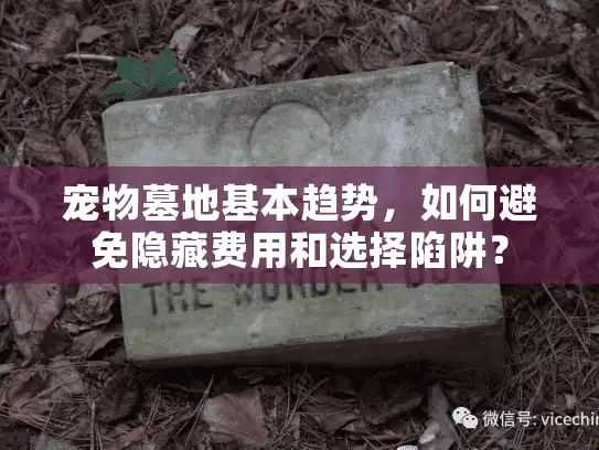 宠物墓地基本趋势，如何避免隐藏费用和选择陷阱？