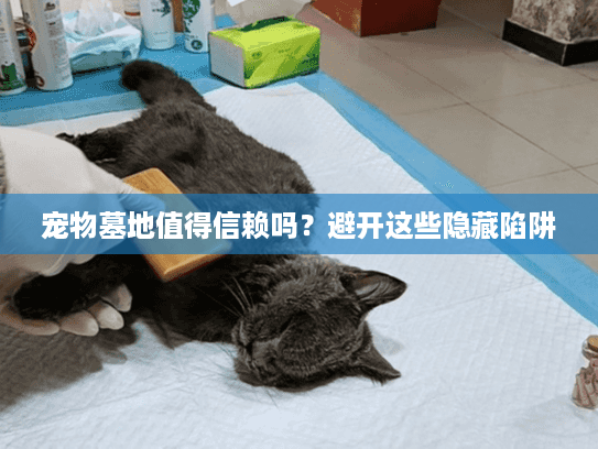 宠物墓地值得信赖吗？避开这些隐藏陷阱