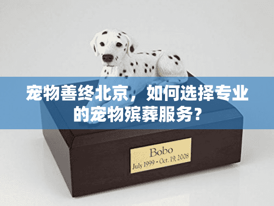 宠物善终北京，如何选择专业的宠物殡葬服务？