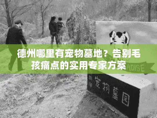 德州哪里有宠物墓地?告别毛孩痛点的实用专家方案 德州哪里有宠物墓地?告别毛孩痛点的实用专家方案