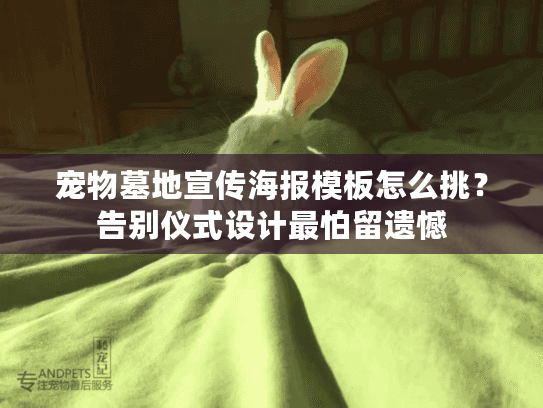 宠物墓地宣传海报模板怎么挑？告别仪式设计最怕留遗憾