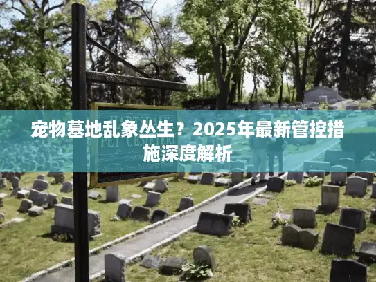 宠物墓地乱象丛生？2025年最新管控措施深度解析