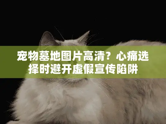 宠物墓地图片高清？心痛选择时避开虚假宣传陷阱