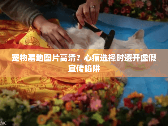 宠物墓地图片高清？心痛选择时避开虚假宣传陷阱