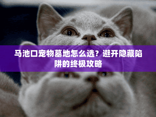 马池口宠物墓地怎么选？避开隐藏陷阱的终极攻略