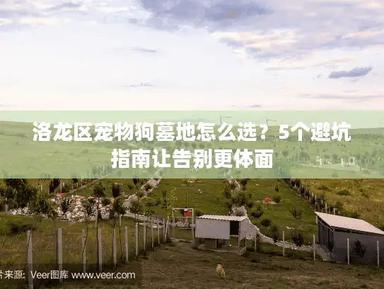 洛龙区宠物狗墓地怎么选?5个避坑指南让告别更体面 洛龙区宠物狗墓地怎么选?5个避坑指南让告别更体面
