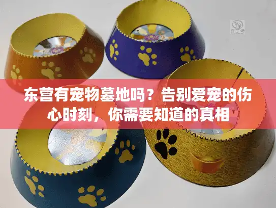 东营有宠物墓地吗？告别爱宠的伤心时刻，你需要知道的真相