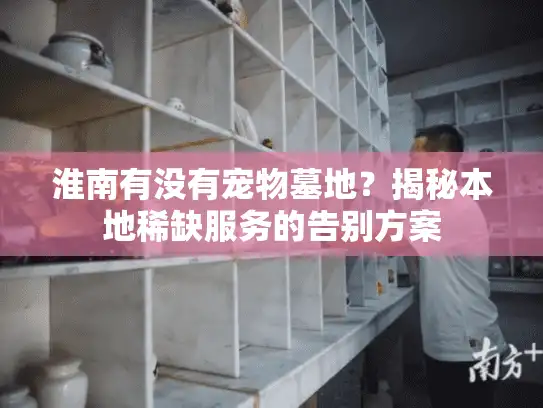 淮南有没有宠物墓地？揭秘本地稀缺服务的告别方案