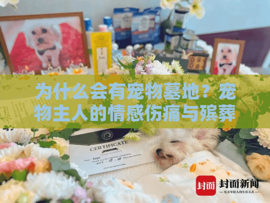 为什么会有宠物墓地?宠物主人的情感伤痛与殡葬服务选择的真实困境 为什么会有宠物墓地?宠物主人的情感伤痛与殡葬服务选择的真实困境